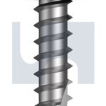Screws